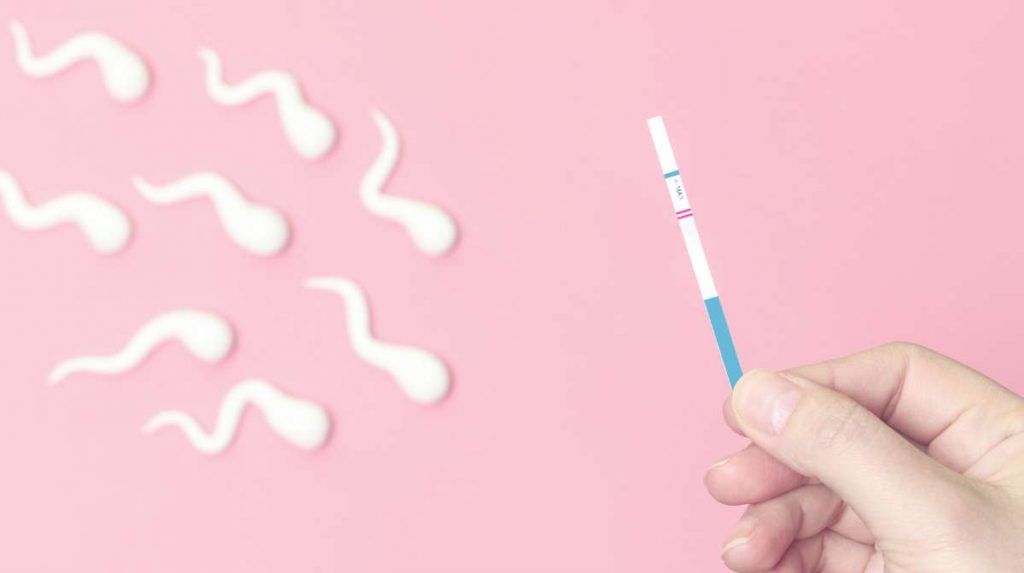 consulta preconcepcional