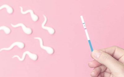 Consulta preconcepcional, ginecología en Vélez