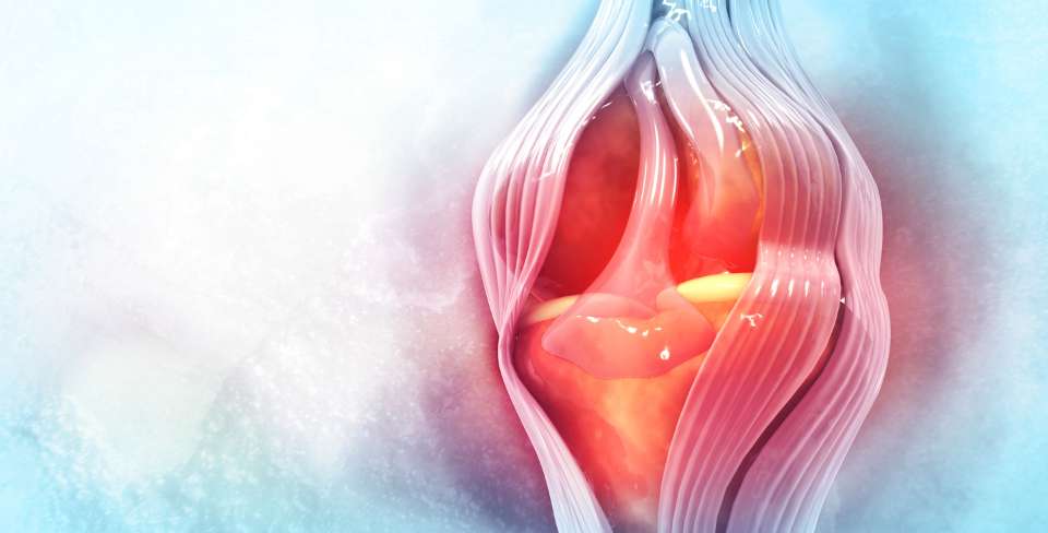 meniscopatias tratamiento